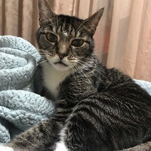 Meet your Posher, Gladys